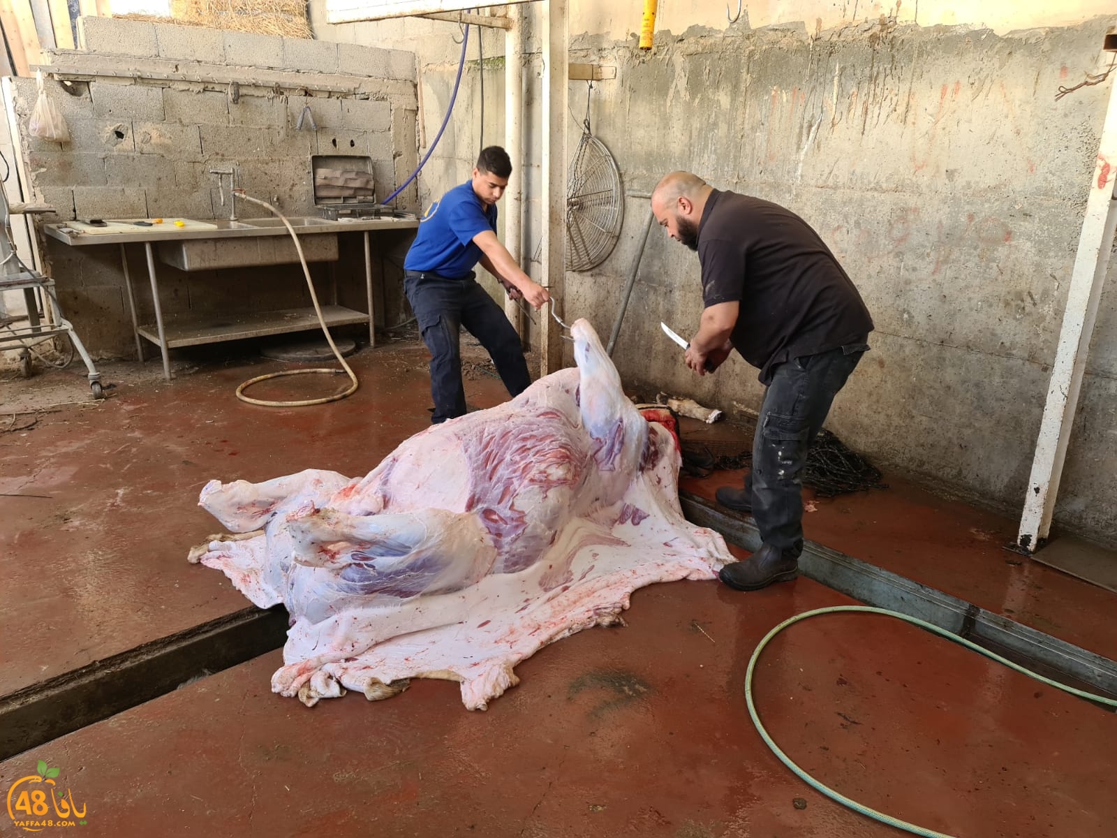 WhatsApp Image 2021-02-02 at 2.11.18 PM.jpeg